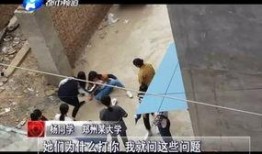 河南省女孩爆料事件视频,揭开校园霸凌背后的真相